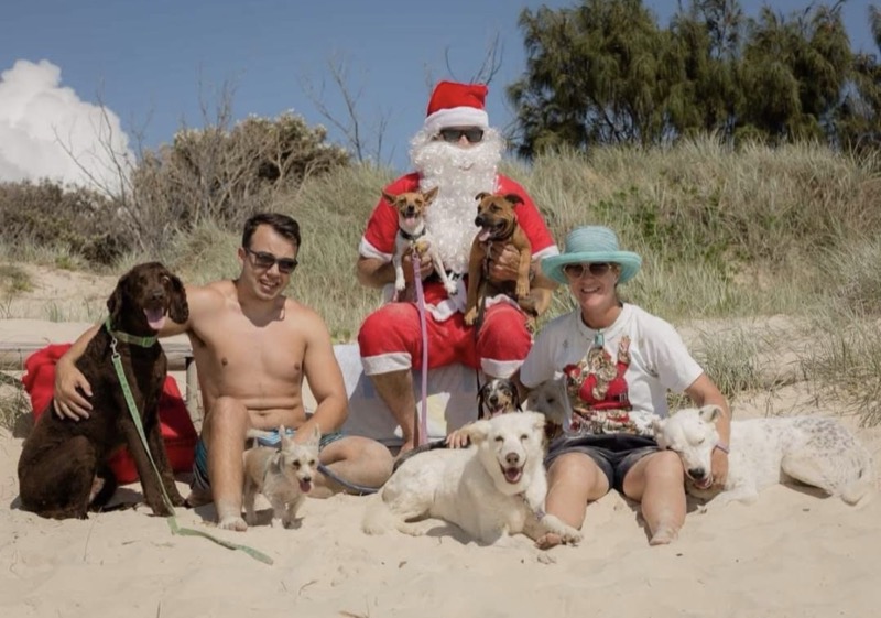 Christmas beach day with dogs and Santa on the Gold Coast