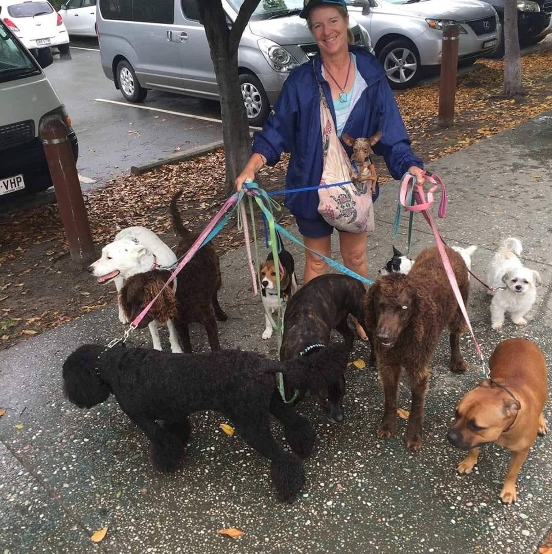 Nikki Logan with a pack of happy dogs on the Gold Coast